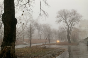 На Рівненщині - штормове попередження через туман та вітер