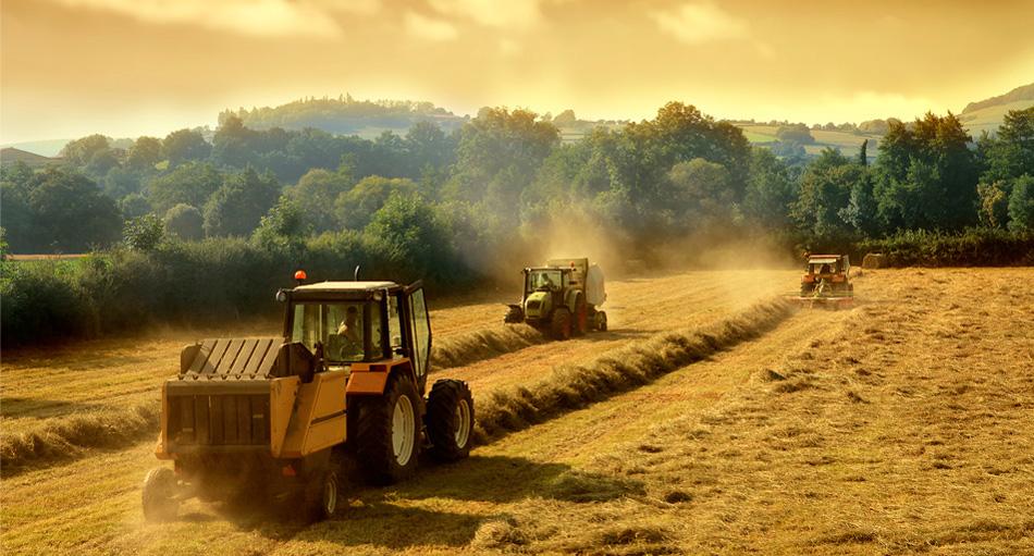 Законодавчі нововведення: члени фермерського господарства скоро платитимуть ЄСВ