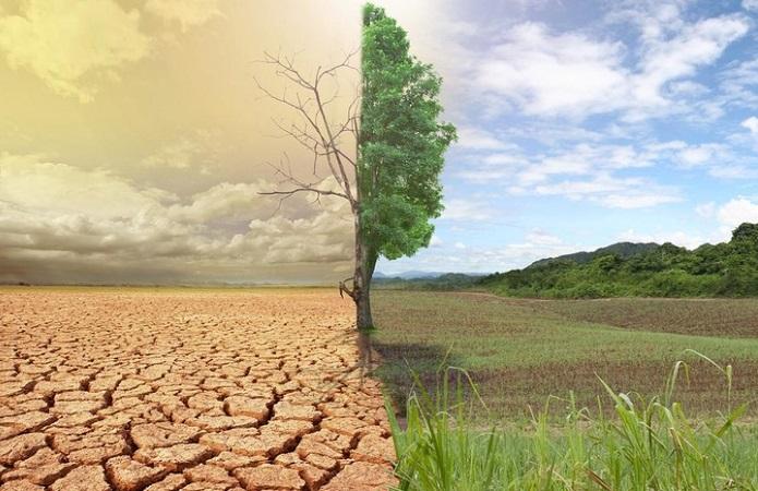 Кліматичні зміни: у Рівному обговорять їх вплив на сільське господарство