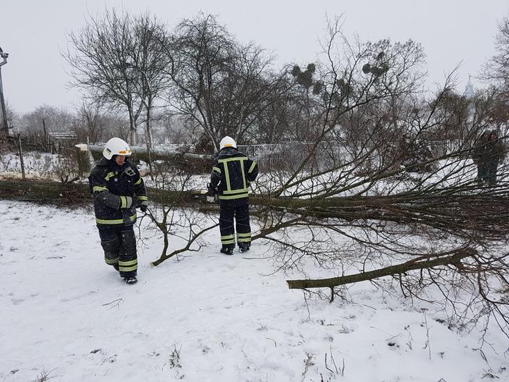 Рятувальники обрізали аварійні дерева в Рівненському районі