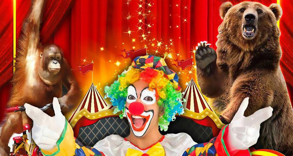 У Рівному заборонили цирки з тваринами 