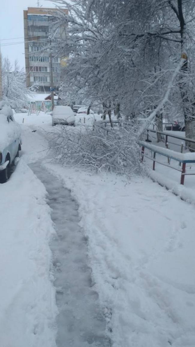 Зима казкова на Рівненщині: наслідки снігопаду (ФОТО)