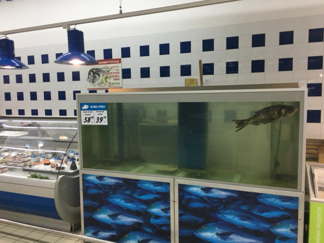 У супермаркеті Рівного продають дохлу рибу (ФОТОФАКТ)