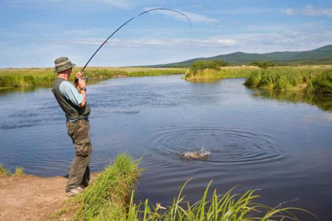 З квітня у водоймах Рівненщини - нерест: кому та коли можна буде рибалити?