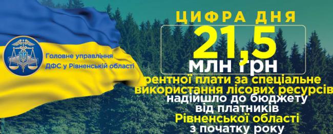Ліси Рівненщини принесли 21,5 млн грн до бюджетів