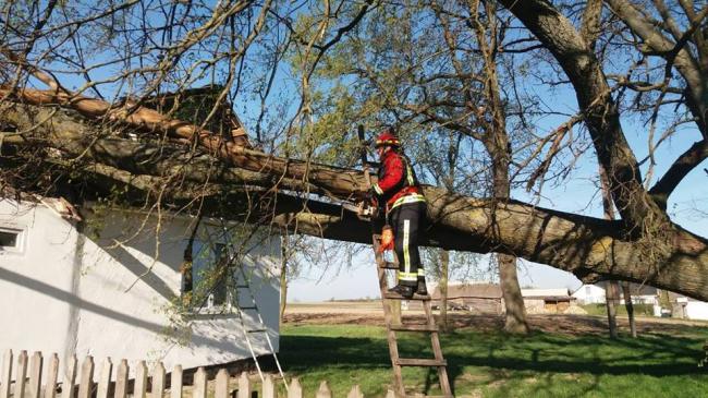 На Рівненщині дерево проломило дах будинку літньої жінки (ФОТО)