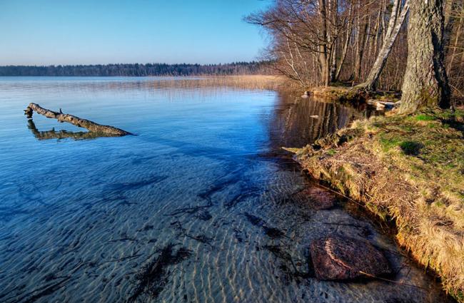 Фото - відкриті джерела