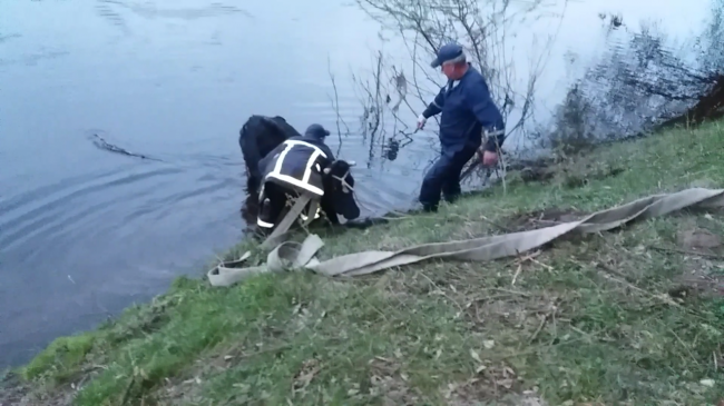 На Рівненщині рятувальники витягнули з річки корову (ФОТО)