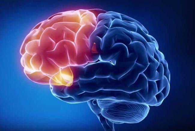 10 книжок, які пояснять рівнянам, як насправді працює людський мозок