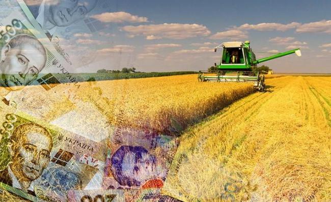 Аграрії Рівненщини віддали області 30 млн грн податку