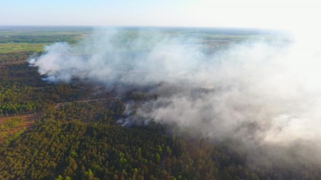 Рятувальники показали, як ліквідовували лісову пожежу на Рівненщині: відео з квадрокоптера