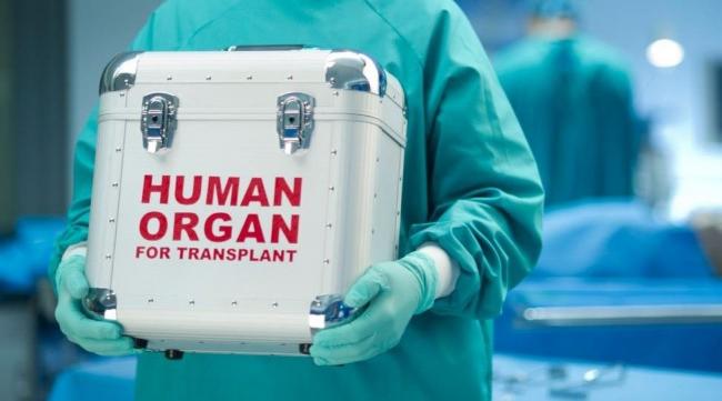 Чого чекати рівнянам від нового законопроекту про трансплантацію органів?