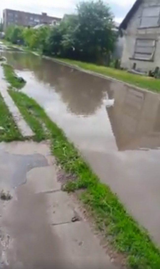 У Дубно у воді потопають цілі вулиці (ВІДЕО)