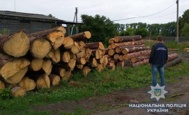 На Рівненщині службовці одного з лісгоспів створили "злочинну схему"
