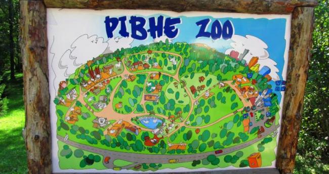 5 причин, через які варто відвідати Рівненський зоопарк у будь-якому віці