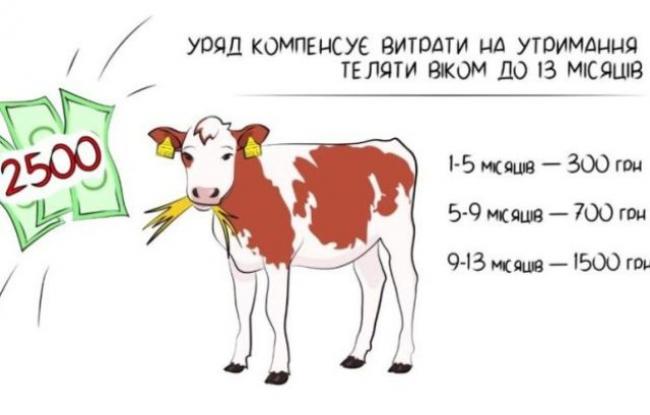 Понад 220 селян із Рівненщини отримали дотації на вирощування худоби