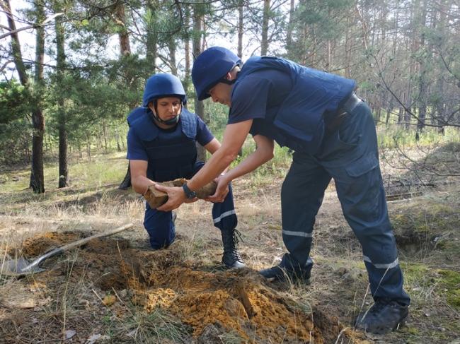 В урочищі «Лиса гора» на Рівненщині знайшли понад 600 вибухонебезпечних предметів