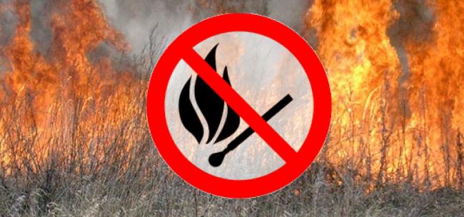 Сьогодні на Рівненщині - високий рівень пожежної небезпеки