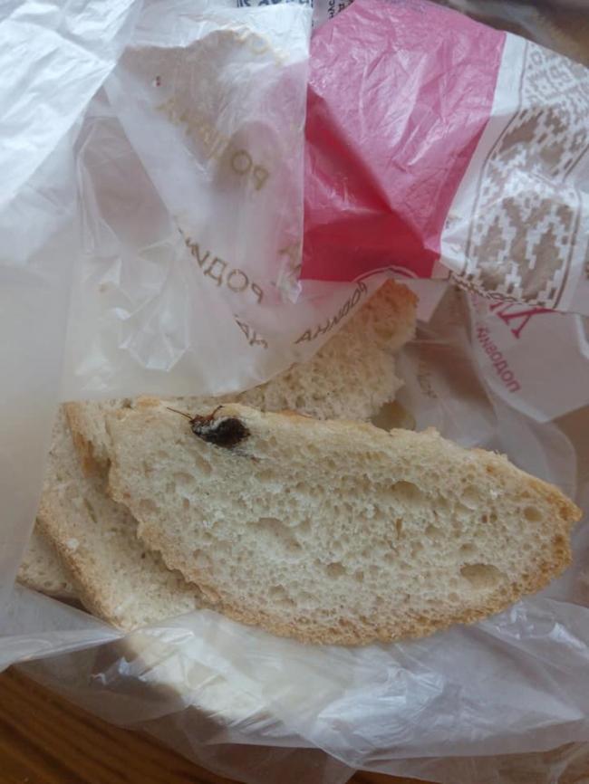Рівнянка знайшла у хлібі таргана (Фотофакт)