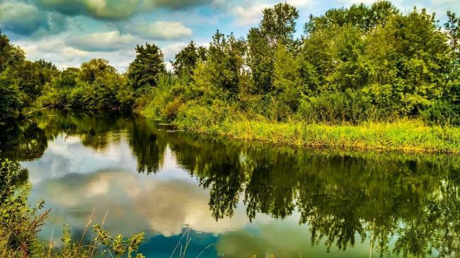 У мережі з`явилися неймовірні фото річки на Рівненщині (ФОТО)