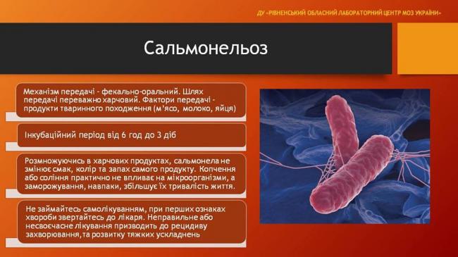 За серпень у Рівненській області зафіксували 8 випадків захворювання на сальмонельоз  