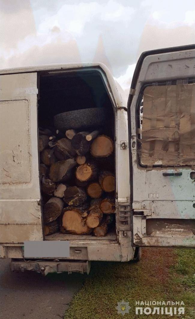 У мешканця Рівненщини вилучили незаконно зрубану деревину (ФОТО)
