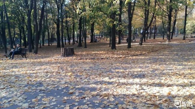 У центральному парку Рівного не прибирають листя