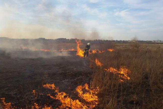 Учора рятувальники ліквідовували пожежі в екосистемах Рівненщини (ФОТО)