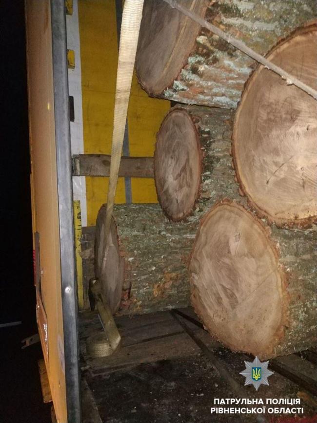 На Рівненщині виявили незаконну деревину (ФОТО)