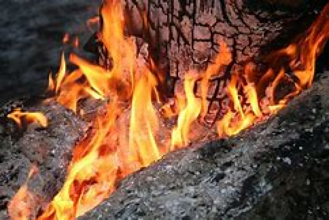 На Рівненщині загорілося дерево