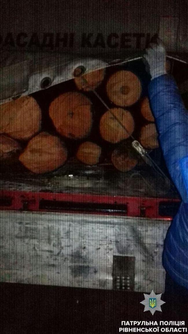 На Рівненщині виявили деревину без документів