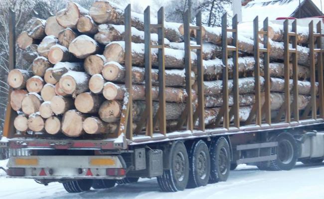 "Люди не збираються миритися": на Рівненщині селяни блокували вантажівку з лісом
