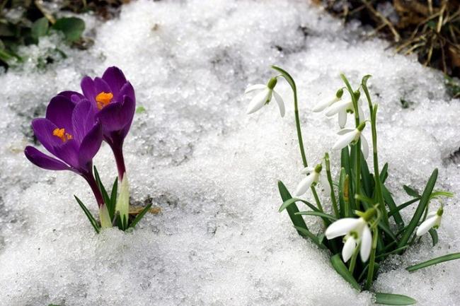 Якої погоди чекати на Рівненщині в останній день зими?