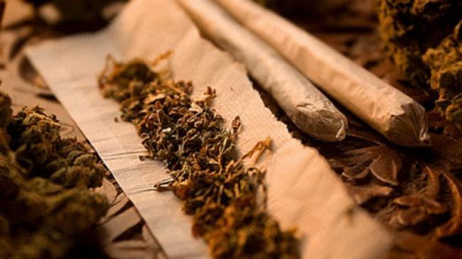 За зберігання марихуани мешканець Рівненщини проведе за гратами два роки