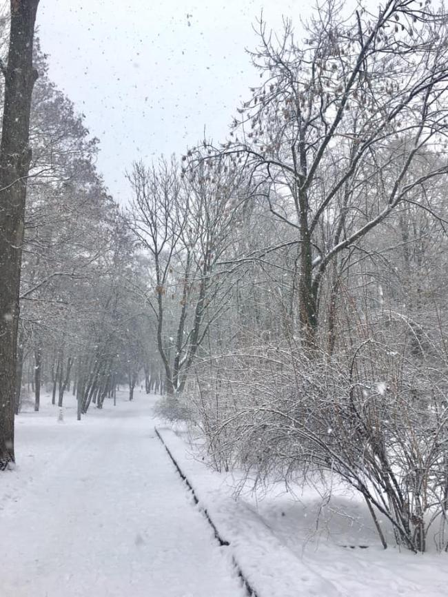 У мережі з`явилися чарівні фото зимового парку у Рівному