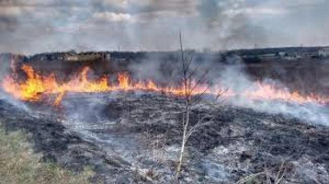 На Рівненщині через загоряння сухої трави пошкоджено господарчу будівлю 