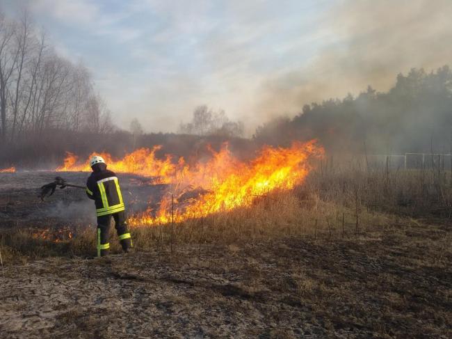 На Рівненщині можуть збільшити розмір штрафів за спалювання сухостою (ФОТО)