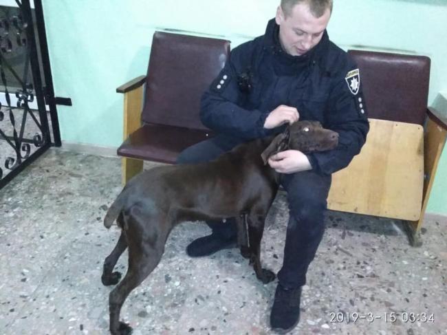 На Рівненщині патрульні знайшли собаку, яку всю ніч шукав господар