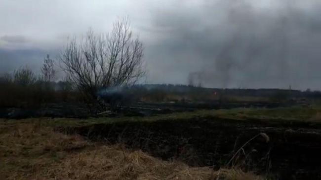 Нічого не вчить: на Рівненщині знову підпалили суху траву (ВІДЕО)