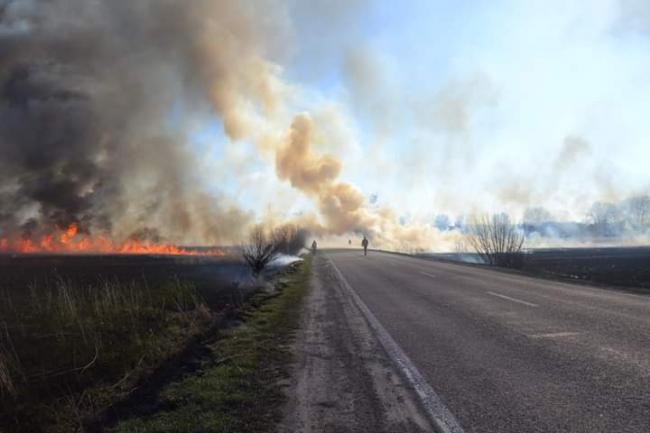 Пожежу на виїзді з Рівного - локалізували 