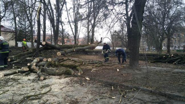 У Рівному на Дубенській рятувальники зранку прибирали дерево, яке частково перекрило рух транспорту