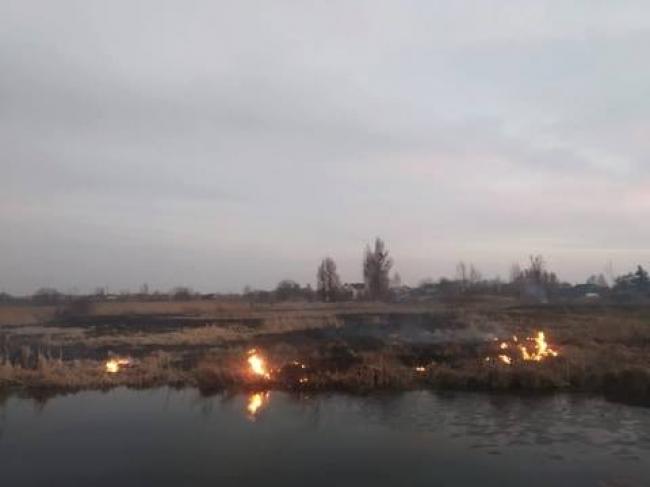 За добу на Рівненщині 4 рази гасили загоряння сухої трави