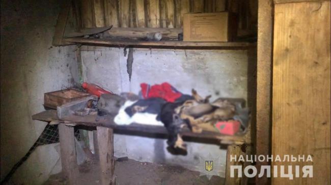 Через масову загибель собак у Здолбунівському районі поліцейські розшукують 19-річну рівнянку