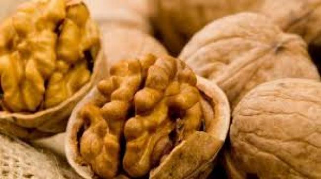 Чому рівняни стали їсти менше горіхів? (ВІДЕО)