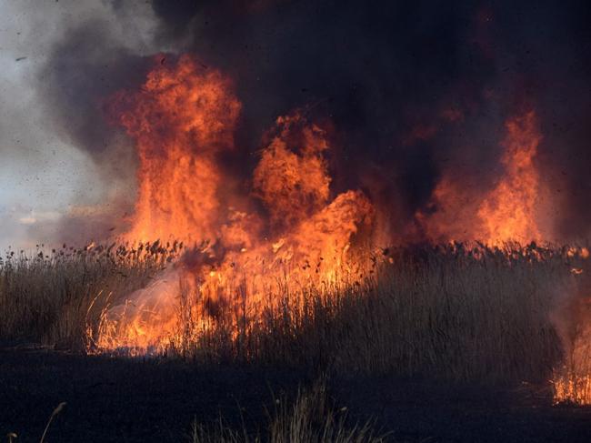 Рівнян закликають не провокувати пожежі в екосистемах