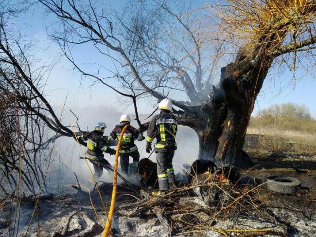 Рятувальникам Рівненщини за добу довелося тричі гасити пожежі чагарників (ФОТО)