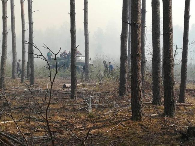 Рятувальники показали масштабну пожежу в природному заповіднику на півночі Рівненщини (ФОТО)