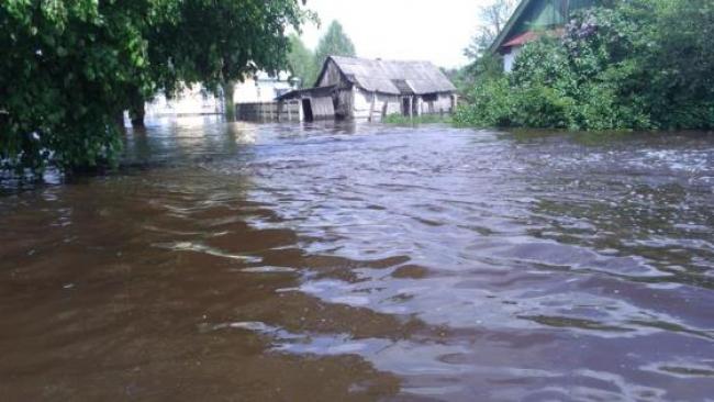 У Рокитнівському районі рівень води за добу зріс більше ніж на метр (Відео)