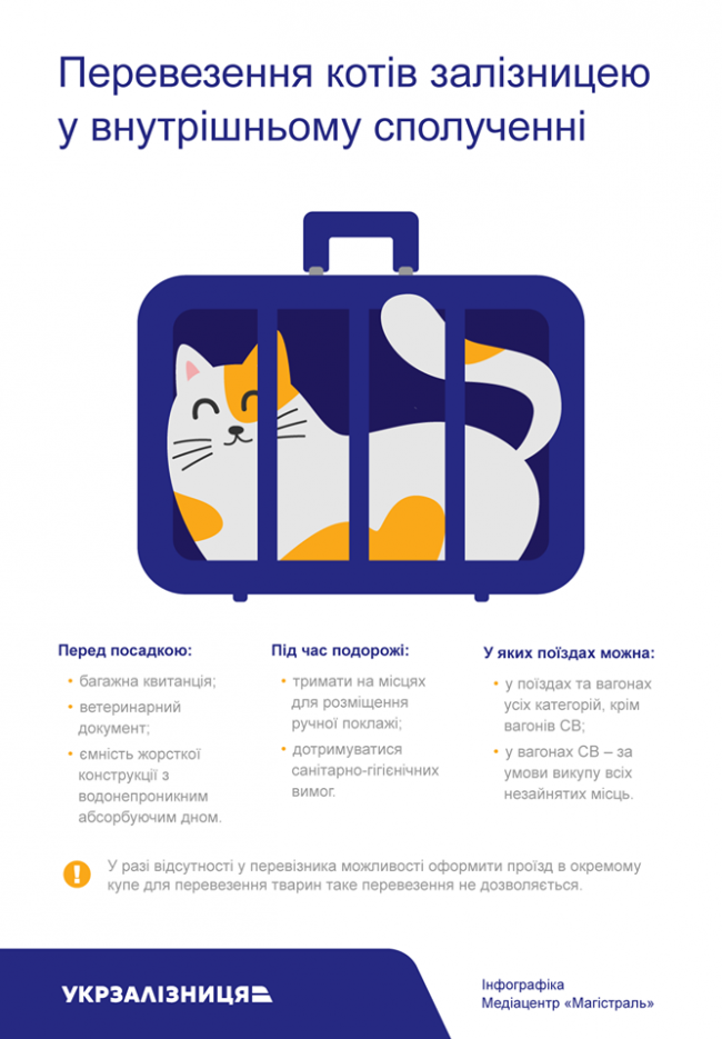 Рівнянам на замітку: правила перевезення котів "Укрзалізницею"