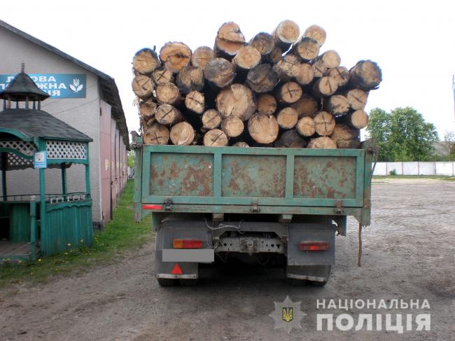 У мешканця Рівненщини вилучили 15 кубів незаконної деревини 